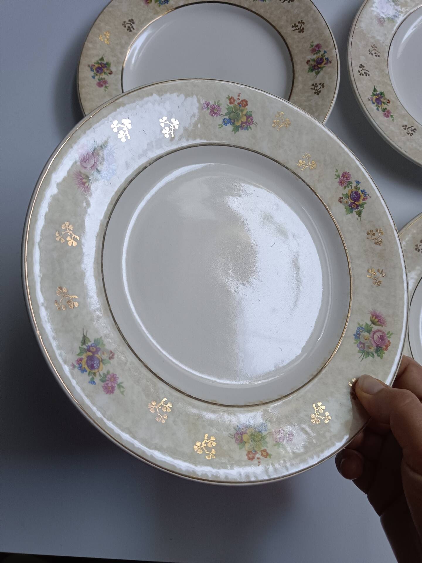 Set of 6 flat plates Salins model Simone beige with flowers.
