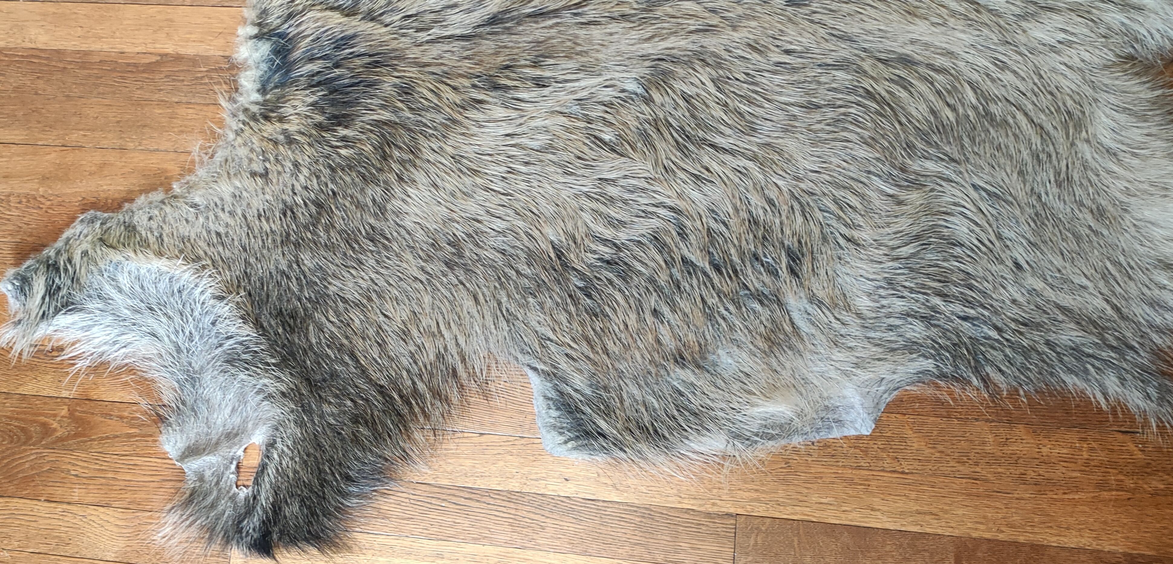 Tapis vintage peau de sanglier 117 cm X 103 cm
