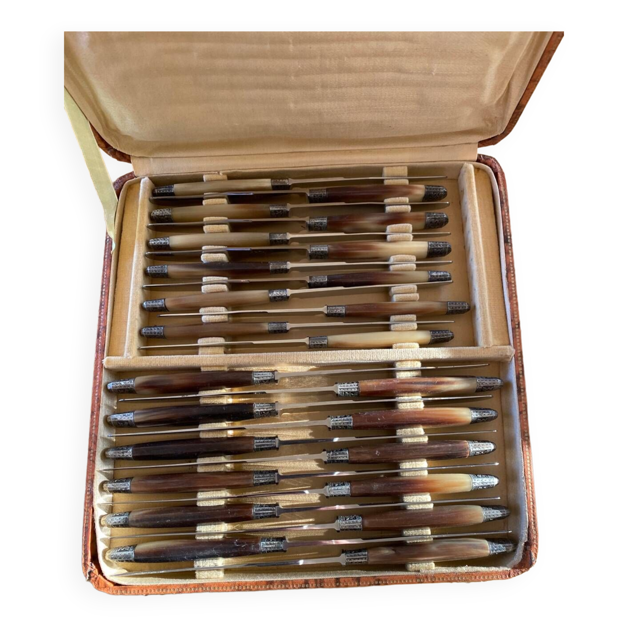 Box of 24 horn knives