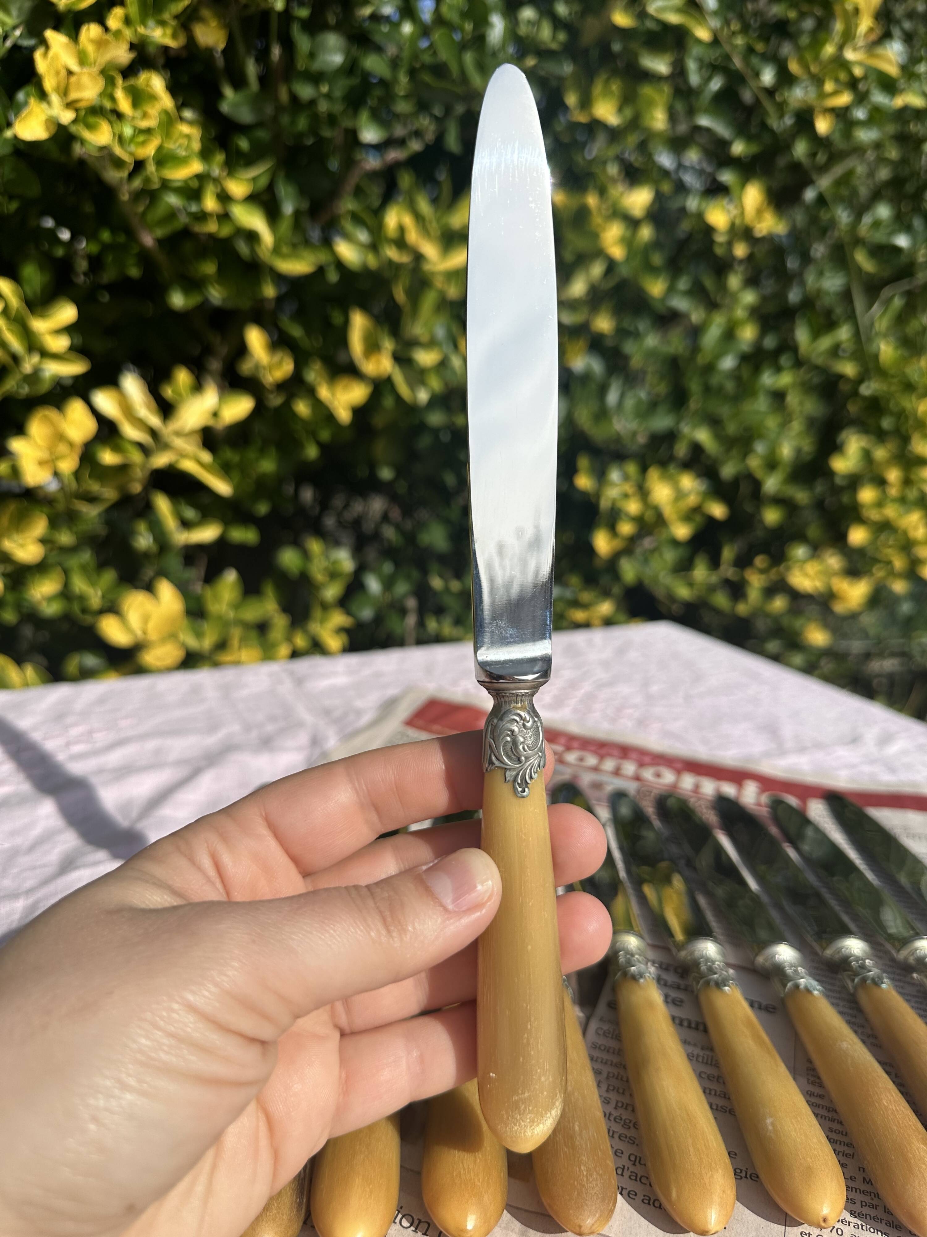 Set of 12 Antique Art Nouveau Table Knives - Tableware