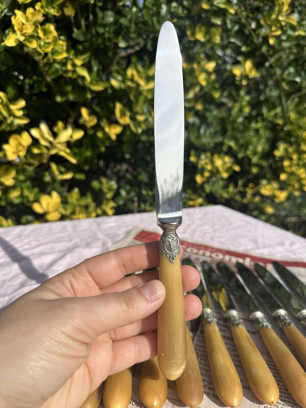 Ensemble de 12 Couteaux de Table Anciens Art Nouveau - Art de la Table