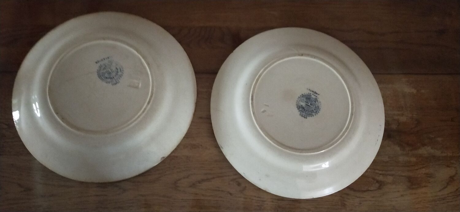 Set of two Terre de fer Parmentier hollow plates