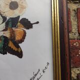 Tableau fait en ailes de papillon