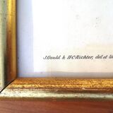 Framed lithograph by J. Gould and HC Richter