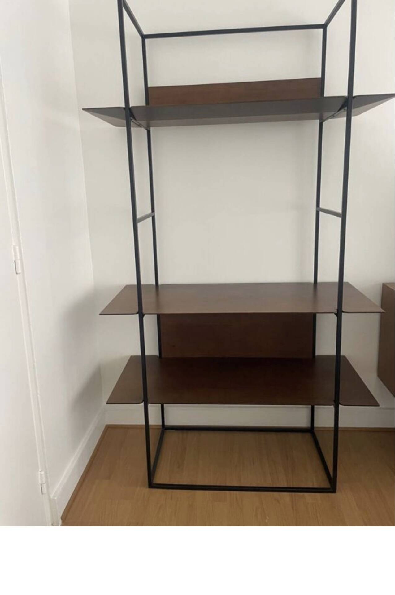 Saccaro shelf