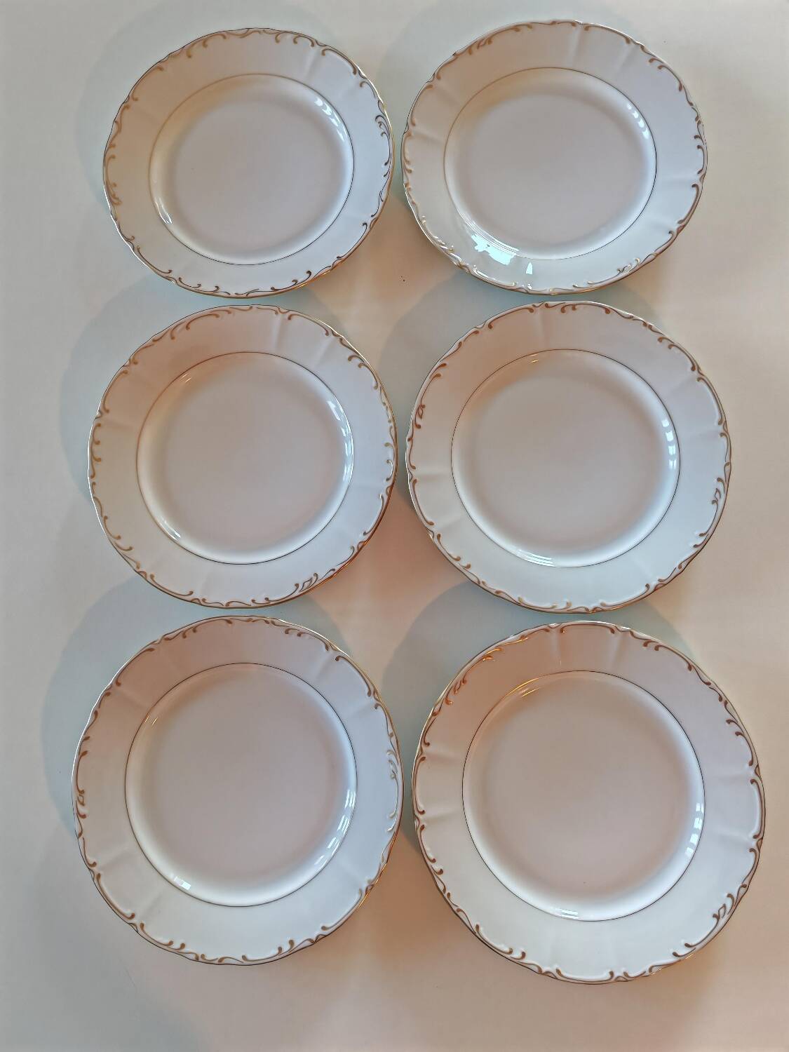Porcelain dinner plates