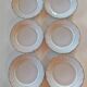Porcelain dinner plates