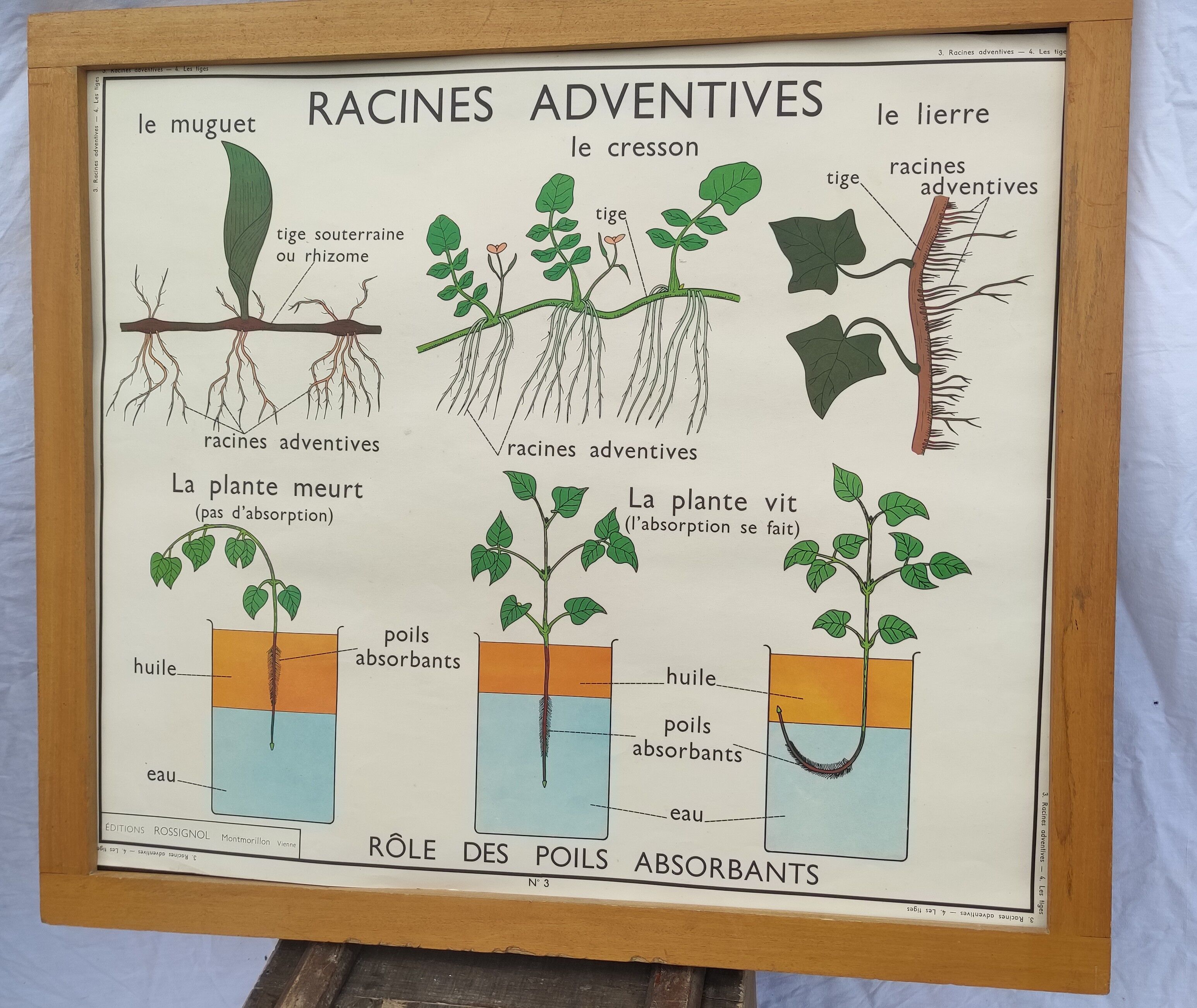 Educational and school poster