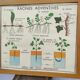 Educational and school poster