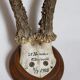 Scandinavian hunting trophy old 30 years