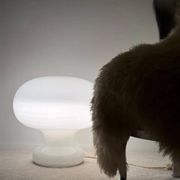 XXL mushroom table lamp by Cosack Leuchten