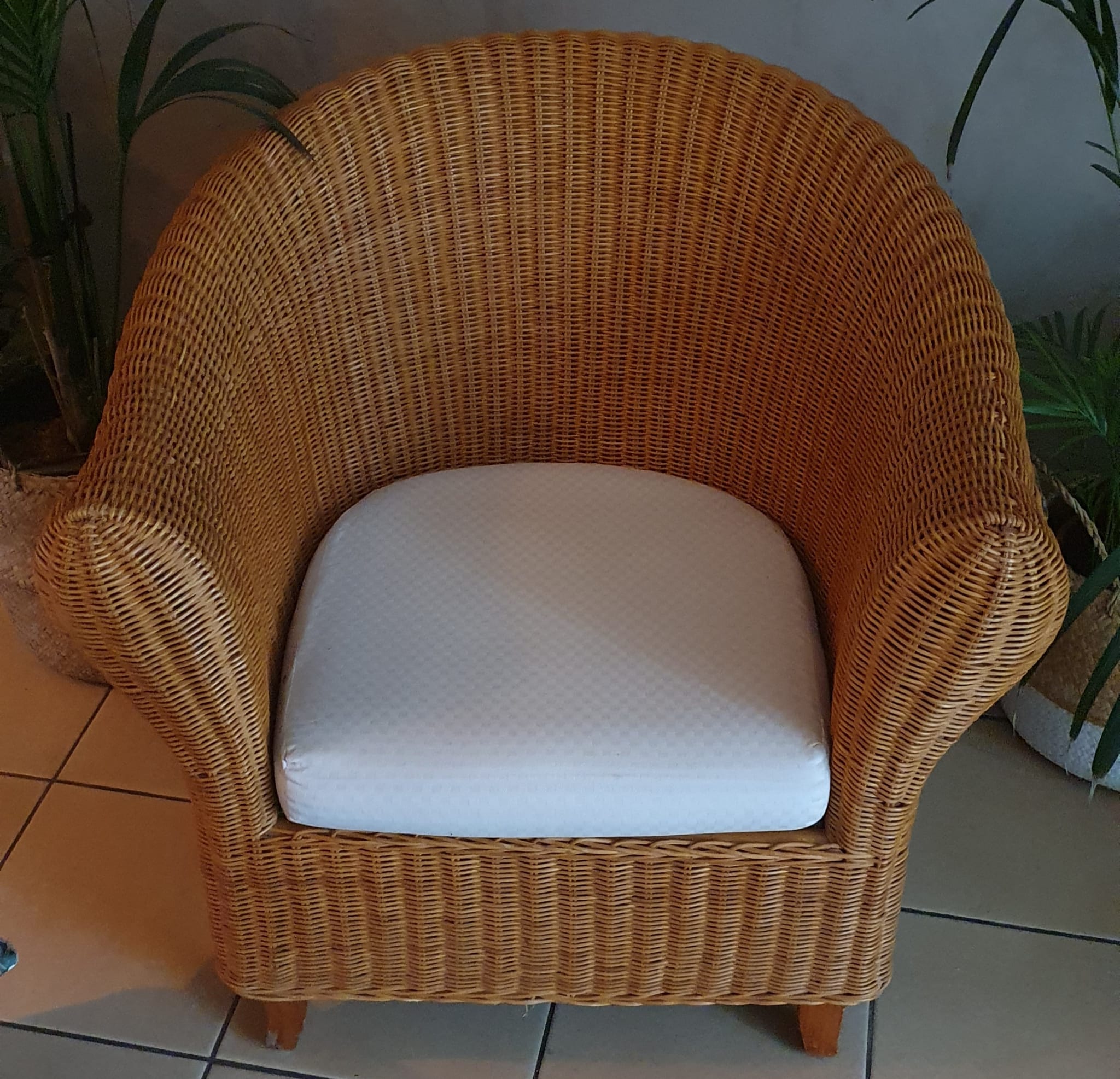 Rattan armchair