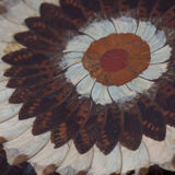 collage in XXL butterfly wings