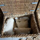 Old wicker moving trunk
