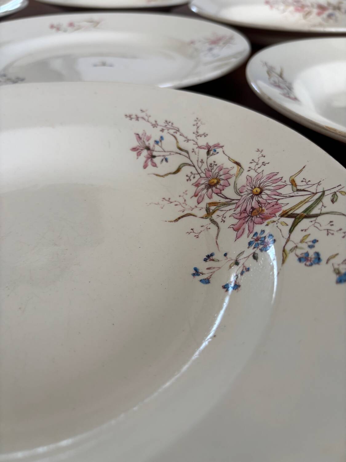 Set of 6 soup plates and 1 dish in polychrome ironstone Choisy-le-Roi