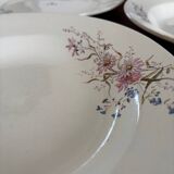 Set of 6 soup plates and 1 dish in polychrome ironstone Choisy-le-Roi