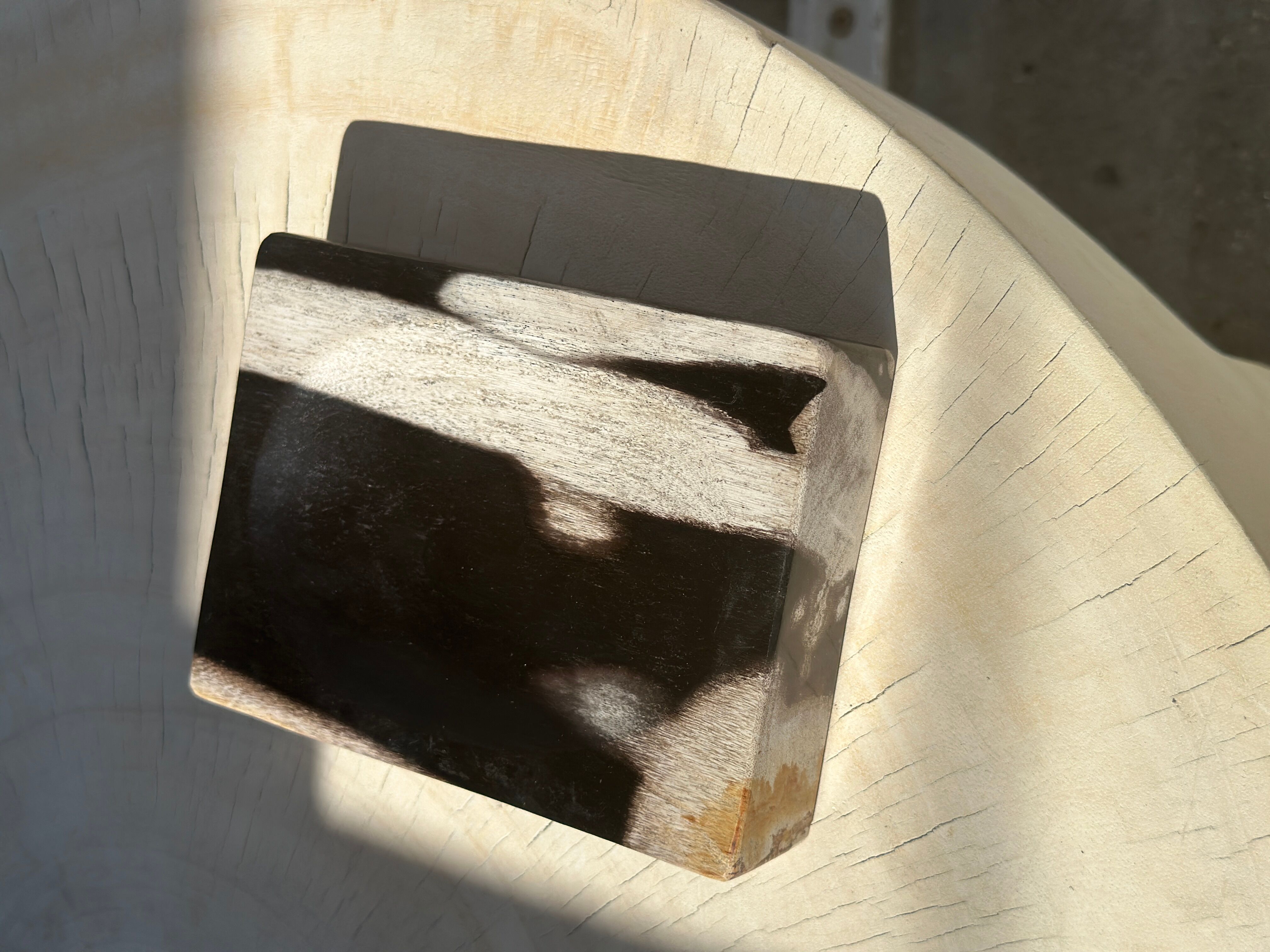 Symmetrical multicolored petrified wood soap dish