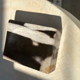 Symmetrical multicolored petrified wood soap dish
