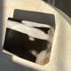 Symmetrical multicolored petrified wood soap dish
