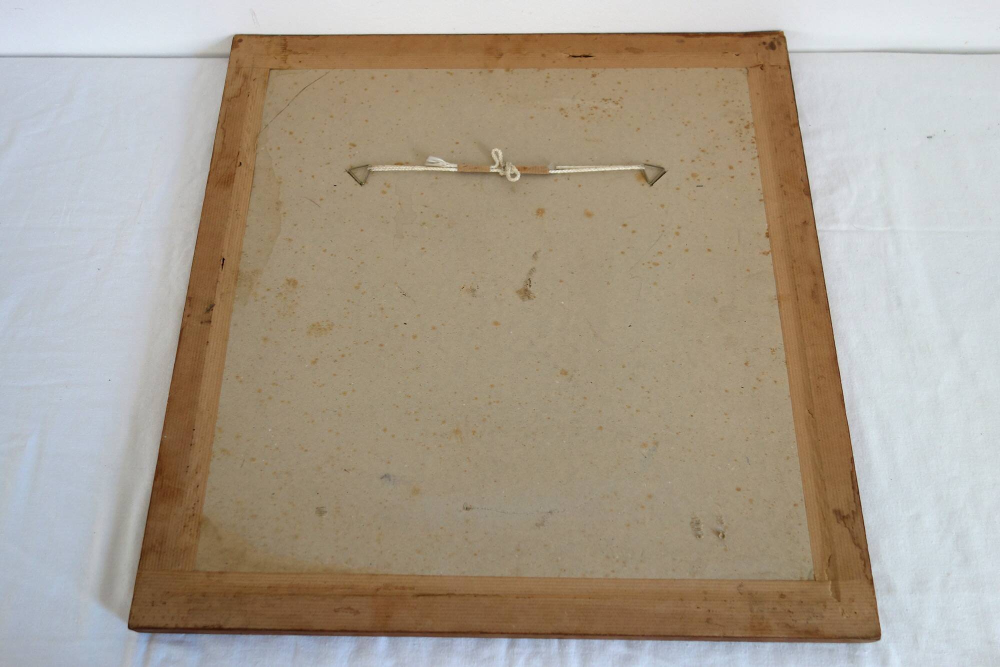 Table of 6 old engravings of flowers from Europe