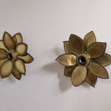 Paire appliques feuilles brutalistes