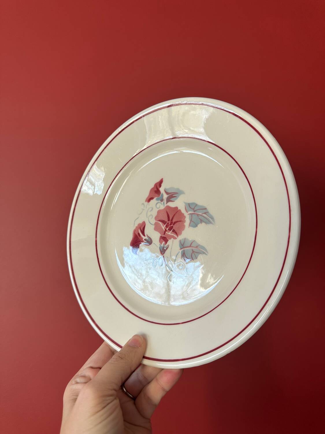 7 antique dinner plates
