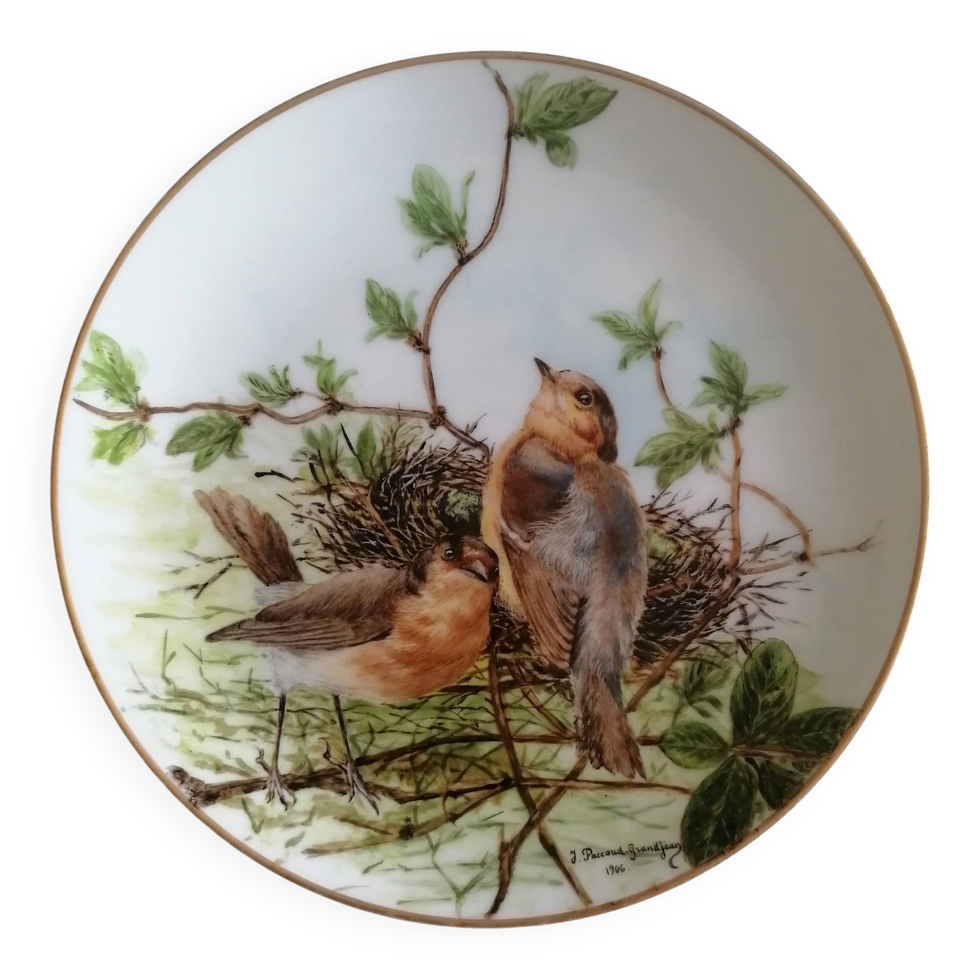 Haviland porcelain plate bird collection