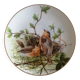 Haviland porcelain plate bird collection