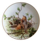 Assiette porcelaine Haviland collection oiseaux
