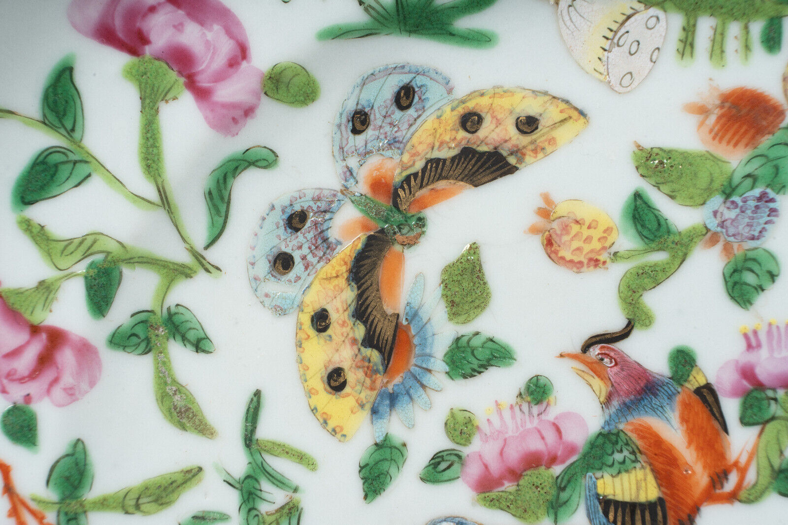 Porcelain plate XIXth Canton with floral decoration birds and butterflies