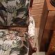 pair of Louis XV style armchairs à la reine