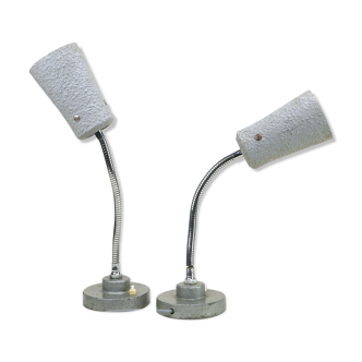 Pair of flexible industrial lamps