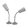 Pair of flexible industrial lamps