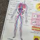 Rossignol school poster N°5 The heart N°6 Vintage traffic