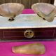 Old tobacco scale, or Apothecary horn trays