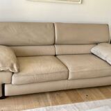 Roche-bobois sofa