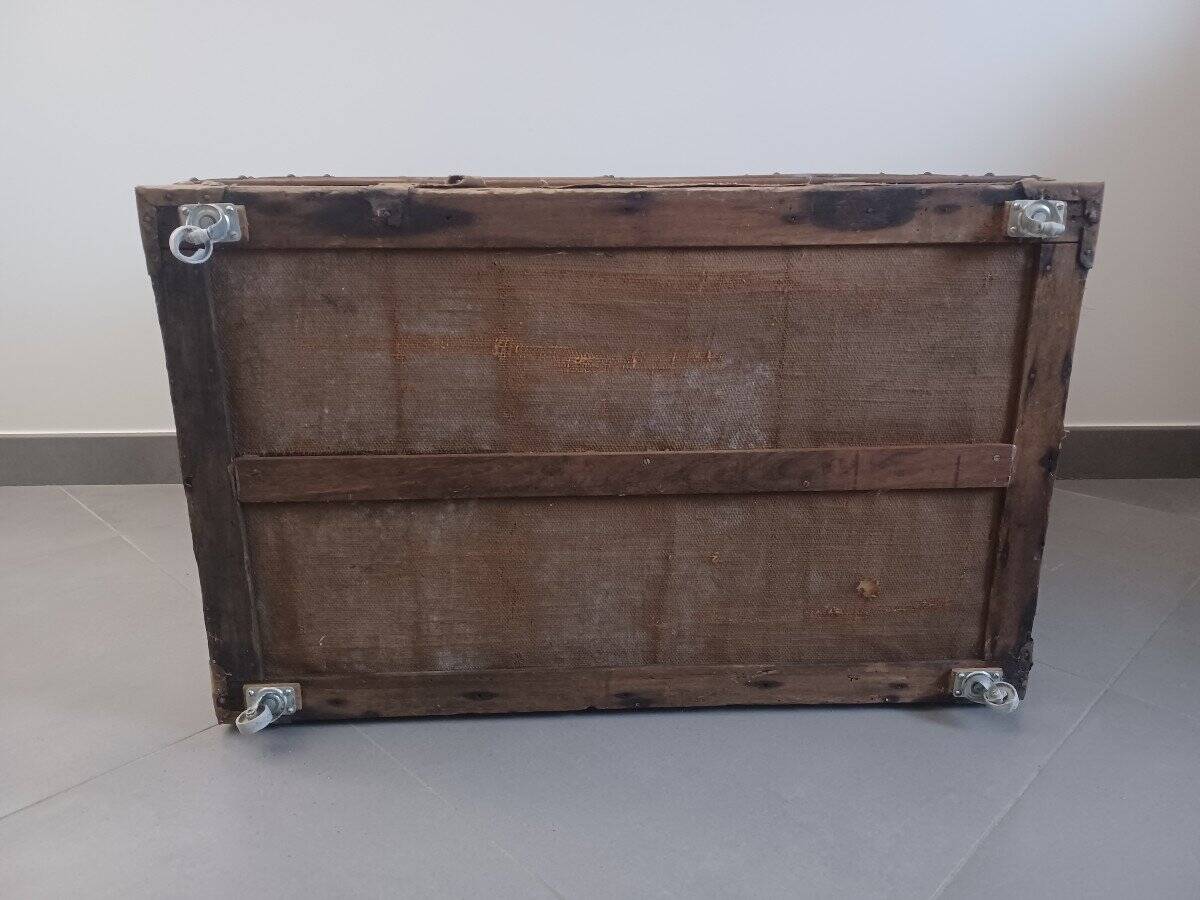 Travel trunk
