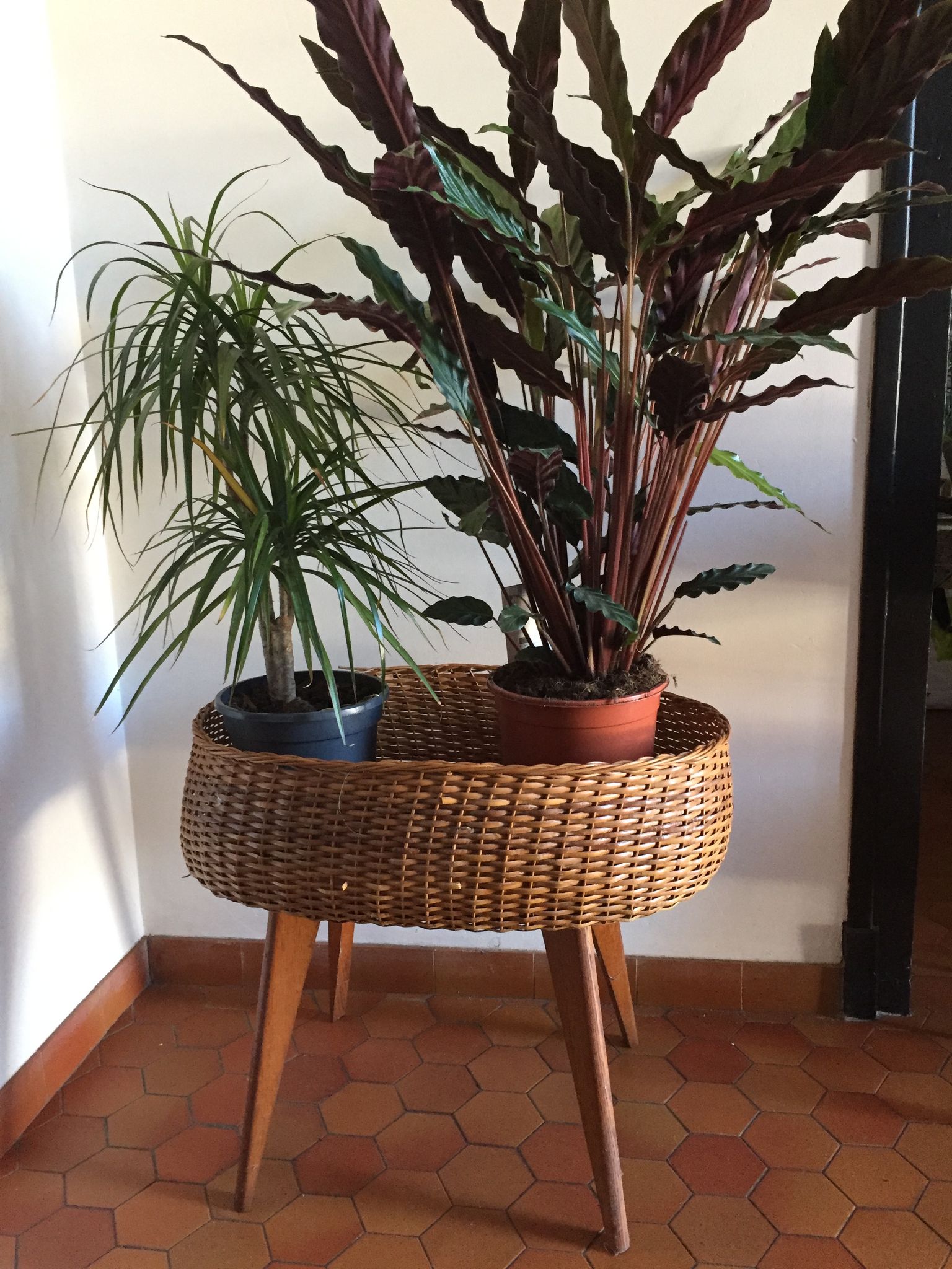 Vintage rattan plant stand