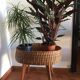 Vintage rattan plant stand