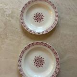 Set of saline hollow plates of iron earth with flowers