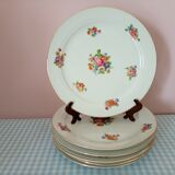6 porcelain plates