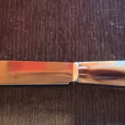 Set of 12 radium table knives in horn