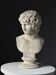 Antinous classical bust