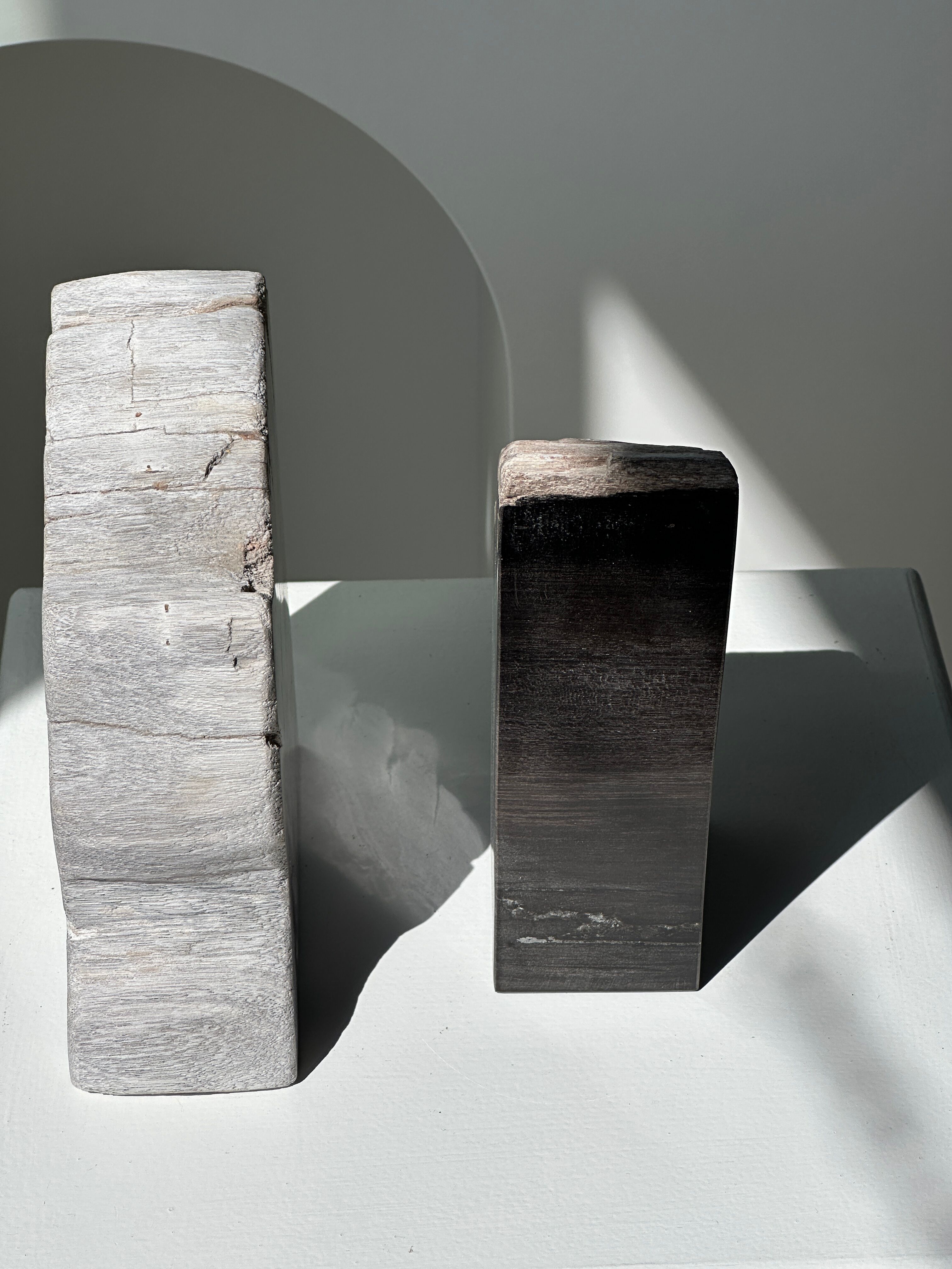 Black petrified wood bookend H17 L17 P6