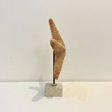 XXL Vintage Natural Starfish on Marble Base Cabinet of Curiosities