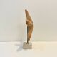 XXL Vintage Natural Starfish on Marble Base Cabinet of Curiosities