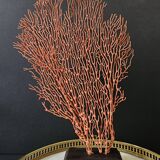 Red Gorgon Wooden Base. H: 34 cm