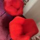 pair of Moumoute armchairs from the 50s