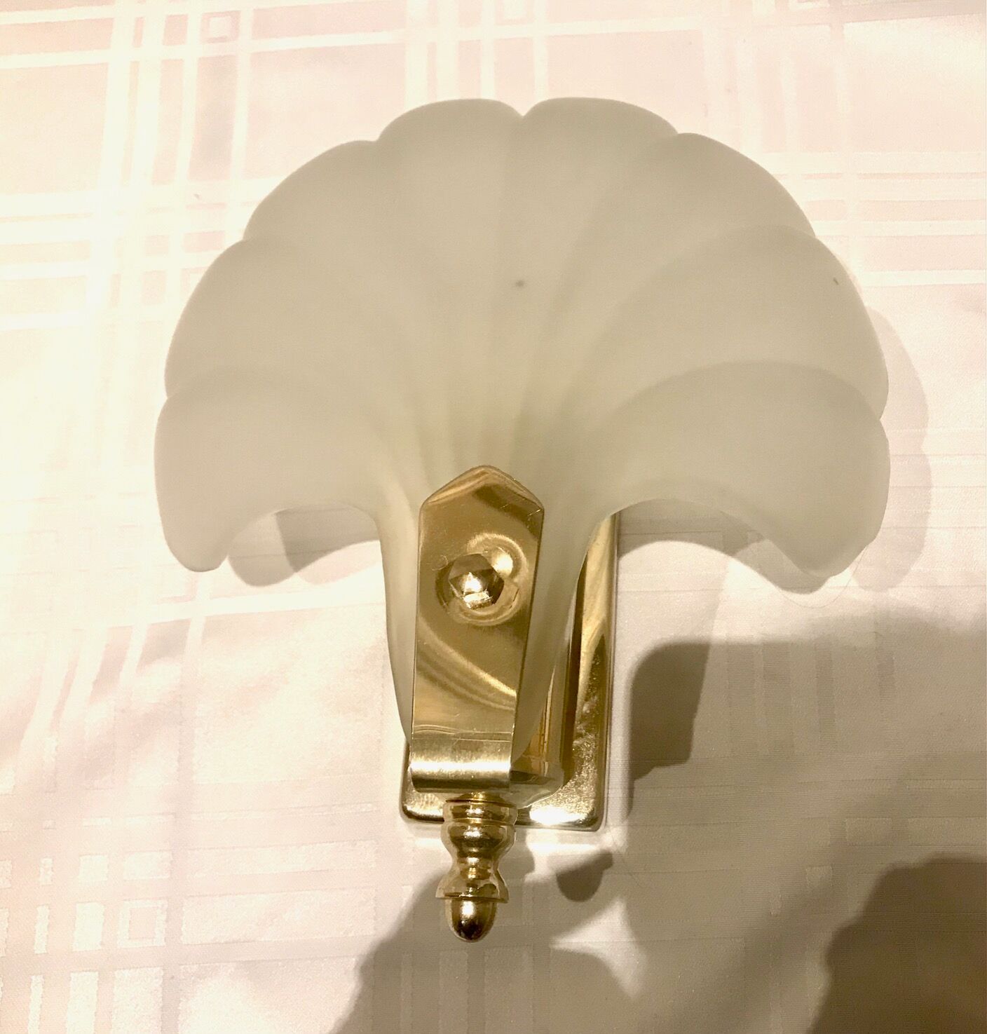 Pair of shell sconces