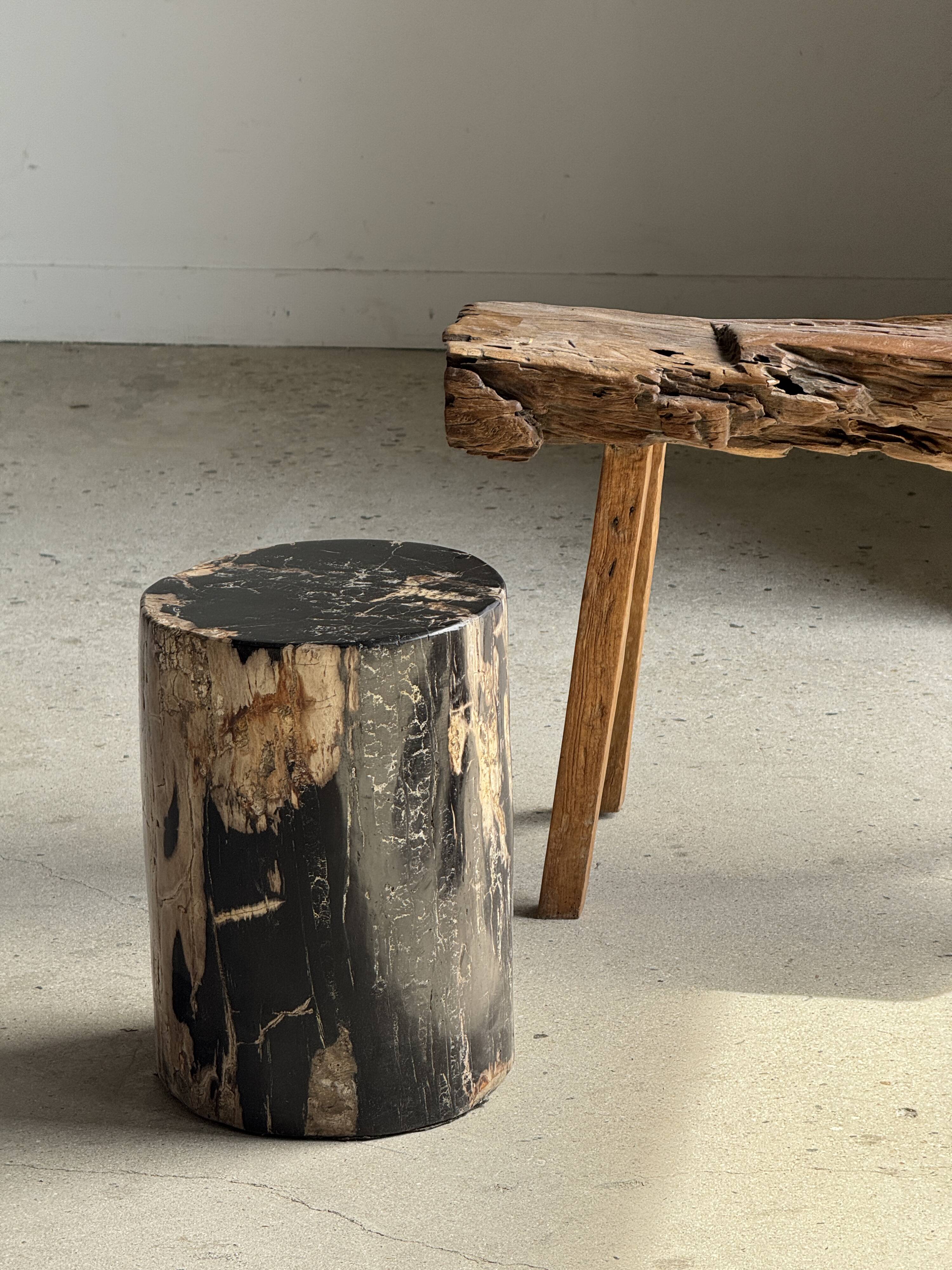 Black petrified wood side table with beige side H35 D24 - 3352